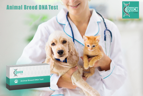 Quali criteri dovrebbero essere considerati nella scelta di un test del DNA in genetica animale?